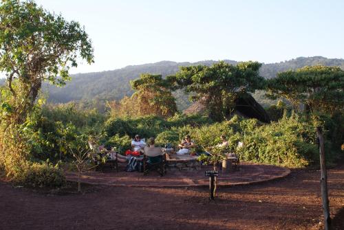 Crater Forest Tented Lodge