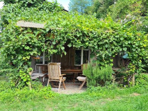 Naturoase Säntisblick-Auszeit am Wald und Bach in Kradolf, Schweiz