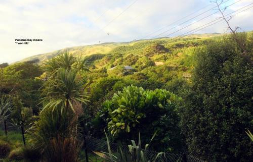 Peaceful Pukerua Bay in Plimmerton