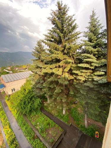 Yeghevni Guest House in Odzun