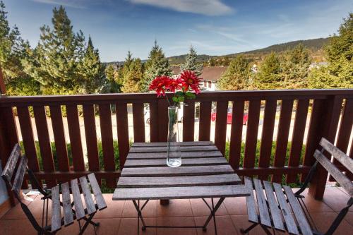Alrededores, Vila Kubik Lipno in Lipno nad Vltavou