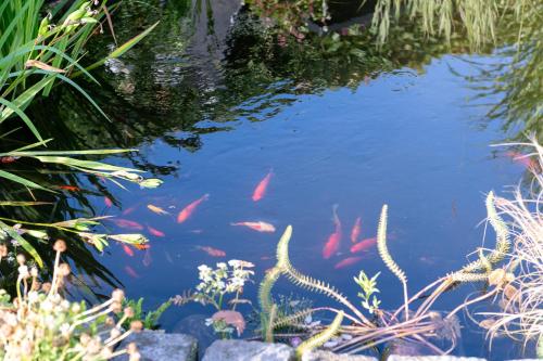 Bed & Breakfast Horsens - Udsigten - image 5