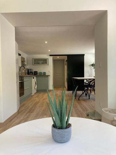 Appartement T2 rez de chaussée villa Les Tamaris Aix-les-Bains - Location saisonnière - Aix-les-Bains