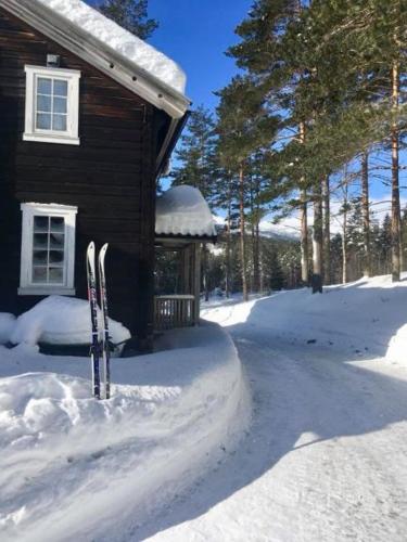 Breiva Gjestegaard og Glamping