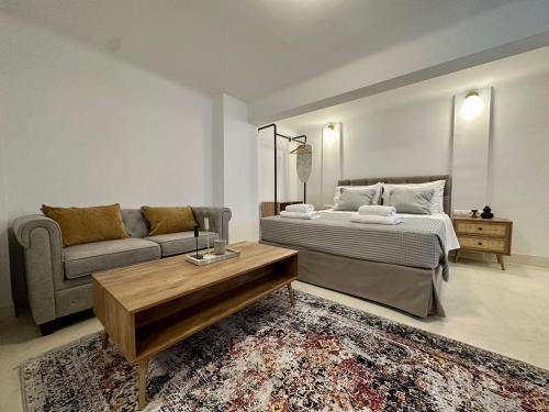 The blue house Athens Room Type - Studio with Terrace