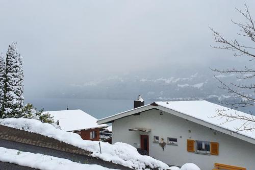 Lakeview Basement Apartment near Interlaken