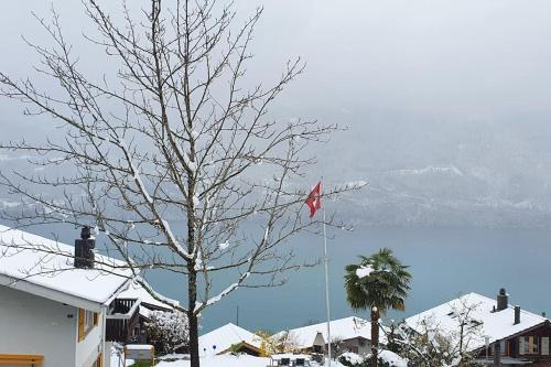 Lakeview Basement Apartment near Interlaken