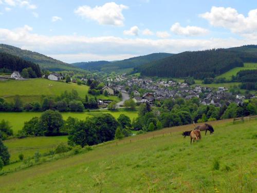 Hotel Niedersfeld-Winterberg - image 3