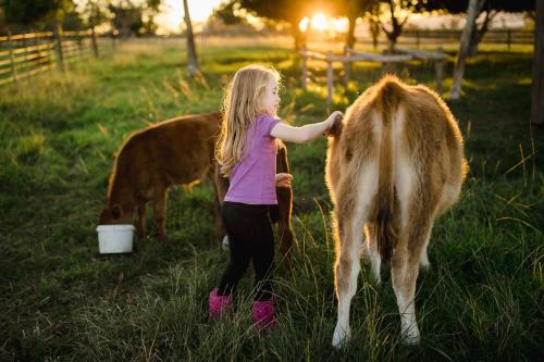 Fernhill Tented Treehouses Fernhill Tented Treehouses