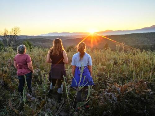 Fernhill Tented Treehouses Fernhill Tented Treehouses
