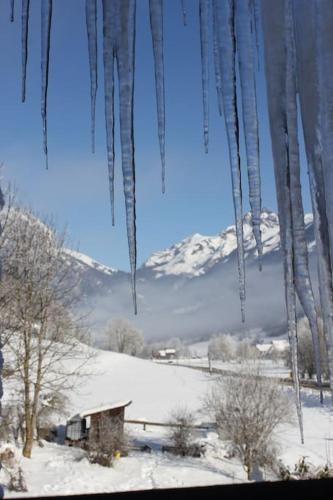 Chaleureux gîte situé en plein cœur des Bauges