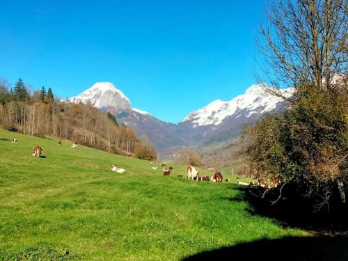 Chaleureux gîte situé en plein cœur des Bauges