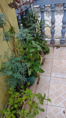 Hospedagem Domiciliar Alternativa - image 4
