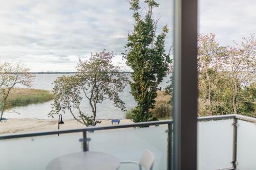 Baltic Lagoon Resort direkt am Meer - image 5