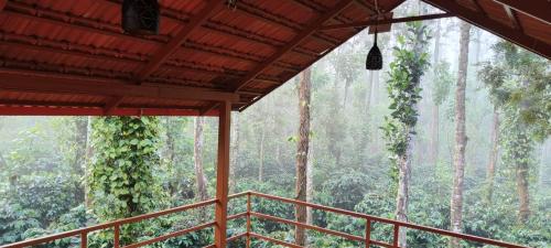 Raagabynature home stay in Belur