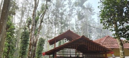Raagabynature home stay in Belur