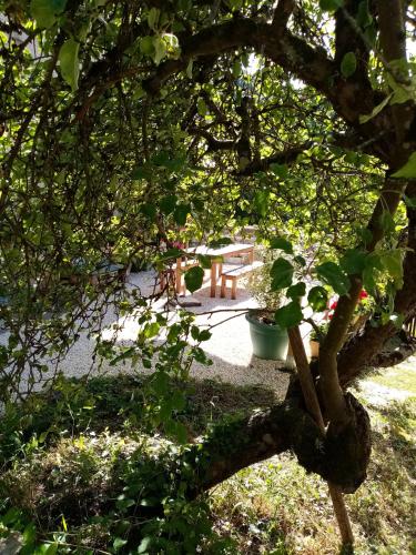 View, GITE LES 27 ROSES ET PLUS in Châtel-Censoir