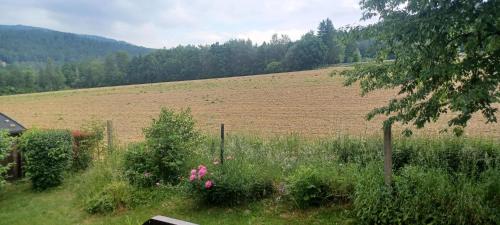 A környék, Ferienwohnung Rihm in Arrach