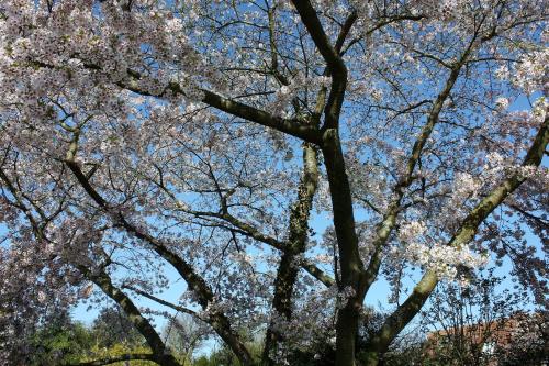 Létesítmények, Petite Maison in Varengeville-Sur-Mer
