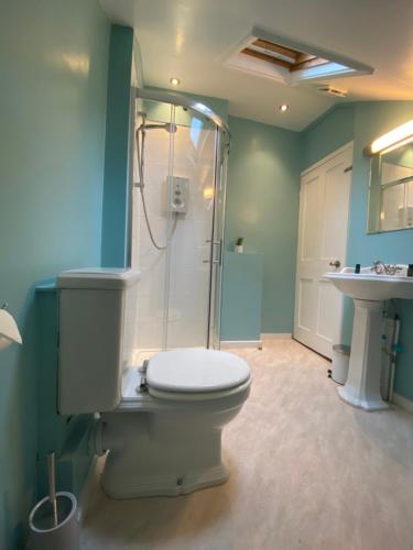 Three Tuns Ashwell Room Type - Deluxe Double Room with Shower Three Tuns Ashwell Room Type - Deluxe Double Room with Shower