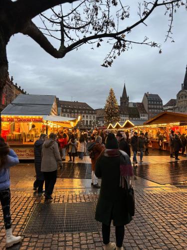 Appart & Studio Hyper Centre de Strasbourg - Proche Cathédrale & Petite France