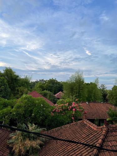 Kubu Elsa Bali – Lovina Beach, CO