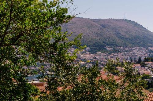 Apartment Pavo - image 9