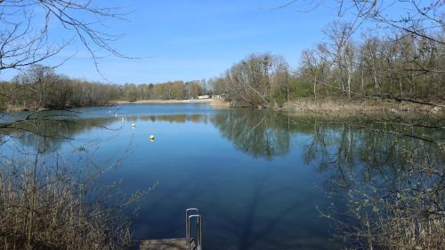 景觀, Feriendorf am Flämingbad (Feriendorf am Flamingbad) in 科斯維格/安哈爾特