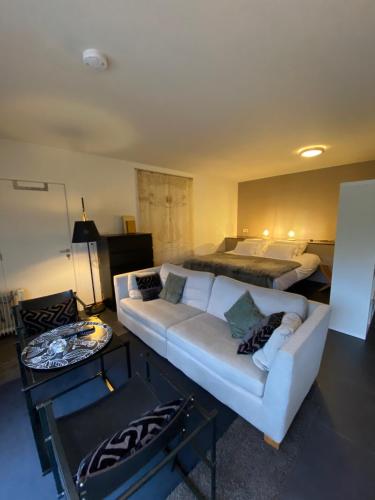Studio & Appartement au Lac - image 6