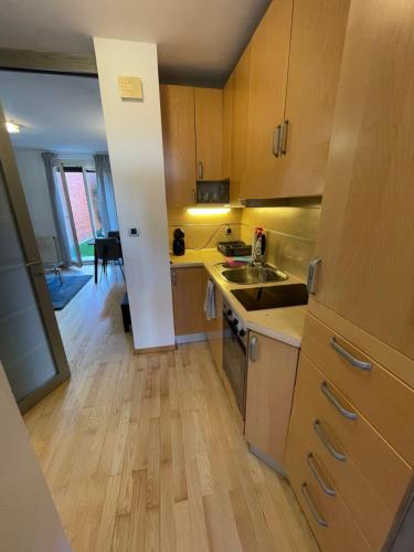 Apartma Galjevica, Ljubljana (photo 9)