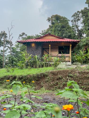 Green Forest Villa, Фортуна (фото 3)