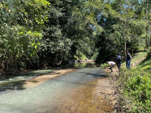 Greens Vista Wayanad - Premium Homestay Near Natural Stream