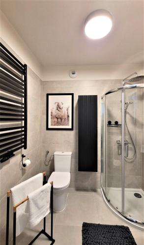 Apartament Tatrzańskie Marzenie, Zakopane (fotografie 10)