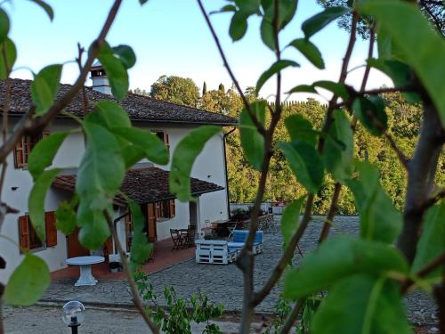 B&B del Mugello 2