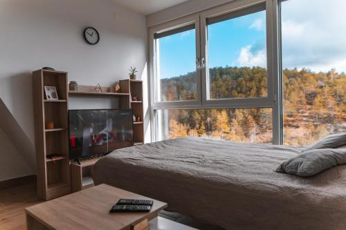 Studio with Mountain View