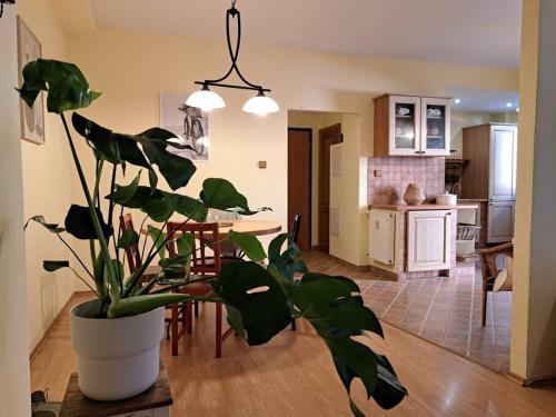 Home in the heart of the City, Bratislava (foto 5)