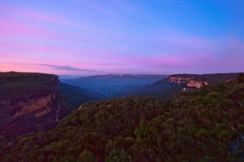 Blue Mountain Views