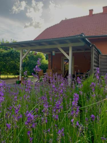 Ferienwohnung Dobernik - Apartment - Sankt Jakob im Rosental