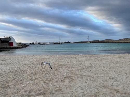 Binisamar Infinity Pool over the sea Binisamar Infinity Pool over the sea
