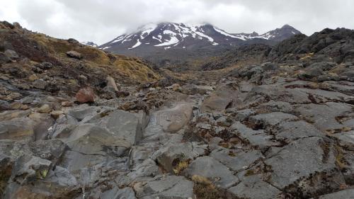 鲁阿佩胡山汽车旅馆