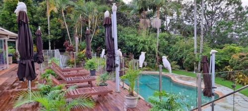 Bazen, Healing Garden Bed & Breakfast - Ubud in Springbrook