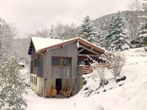Chalet confortable, proche des pistes de ski, avec jardin, terrasses couvertes et Wi-Fi à La Bresse - FR-1-589-86 - Location saisonnière - La Bresse