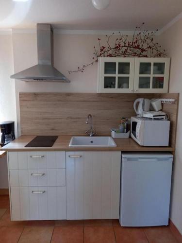 مطبخ, Holiday house with a parking space Rakovica, Plitvice - 20811 in راكوفيكا