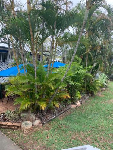 Beachfront at Silver Sands Hervey Bay