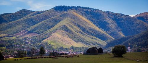 . Picturesque Village in Transylvania