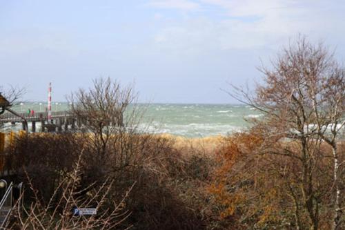 Apartment with Sea View image 1