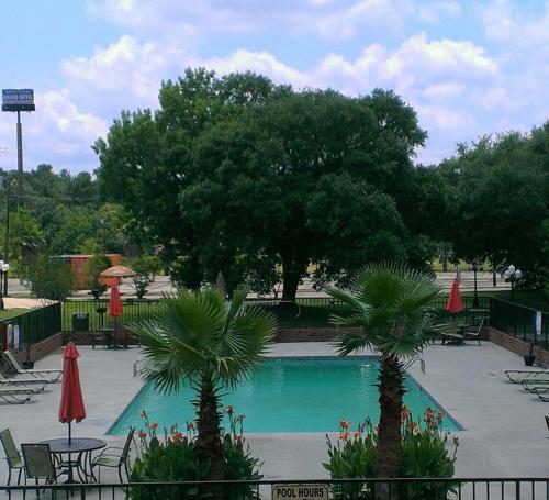 Motel 6 Hammond, LA – I 12 – I 55 - 전망