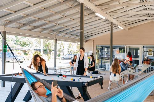Attractions, Kangarooms Noosa Everglades in Sunshine Coast