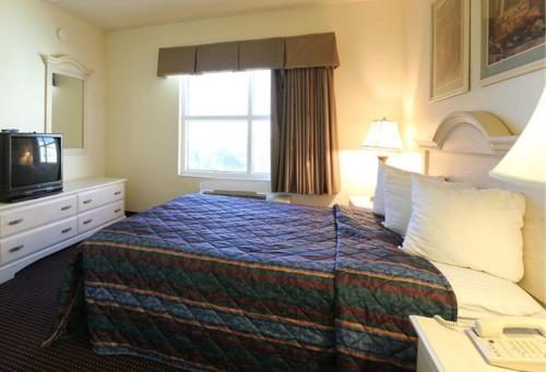 邁爾斯堡傾城套房酒店 (Allure Suites of Fort Myers) in 邁爾斯堡 (FL)