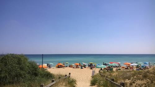 Apkārtne, Arcona in Karpidžnano Salentino